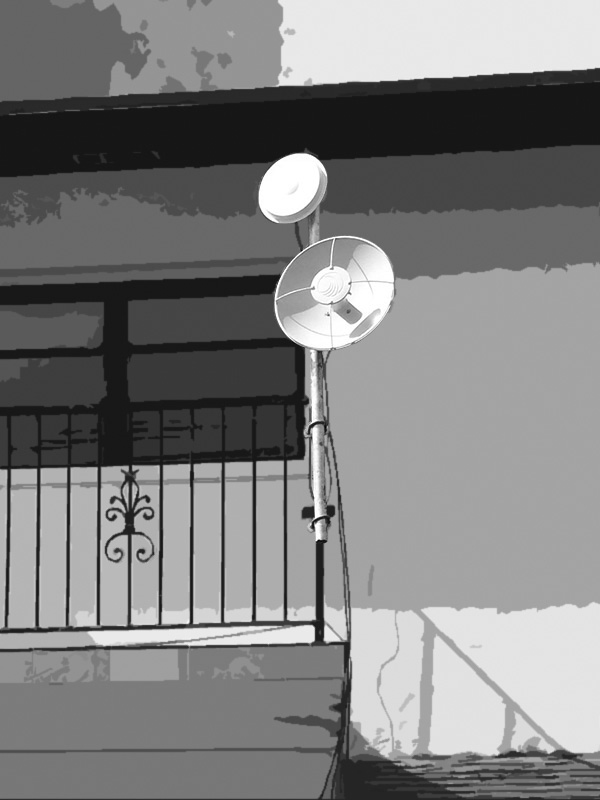 Antenna Sample Antenna sample – The Cat Island Project— Dreams Come True In 4 Days